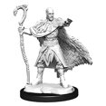 thumbnail image 3 of D&D: NMU: Human Druid Male W14 Nolzur's Wizkids Marvelous Miniatures - WZK90221, 3 of 4