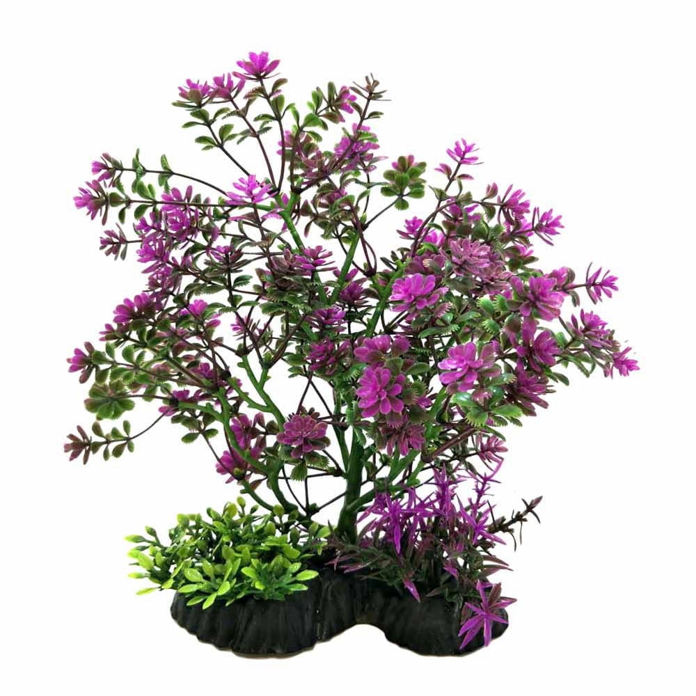 Plante bonsaï de PennPlax