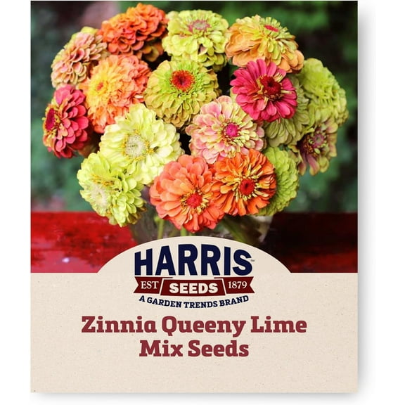 Harris Seeds - Zinnia Seeds Queeny Lime Mix Flowers Non-GMO - 50 Seeds