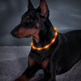 thumbnail image 3 of Collar de perro LED recargable por USB - Collar de seguridad para mascotas brillante Luces de collar de perro con luz cortable de silicona para caminar de noche con perros (naranja) brillar Electrónica, 3 of 5