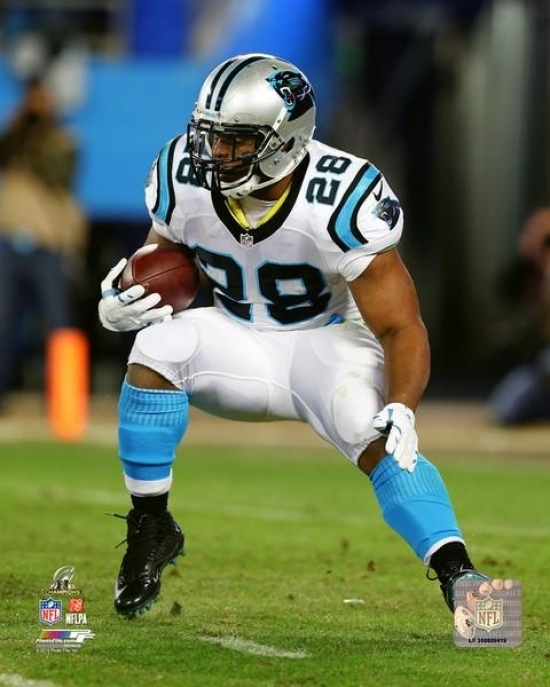 Jonathan Stewart 2015 NFC Championship Game Photo Print (8 Jonathan Stewart 2015 NFC Championship Game Photo Print (8