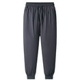 thumbnail image 1 of Winter Men's Lambing Fleece Windproof Cotton Fleece Sports Pants - Straight Leg, Leg Binding, Oversized Fit, 1 of 3