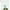 E, variant on TERGAYEE Lace Swag Valance Curtains,White Sheer Floral Embroidery Vintage Window Valances Hollow Knitted Voile Drapes for Living Room Bathroom Cafe Dining Room Small Windows