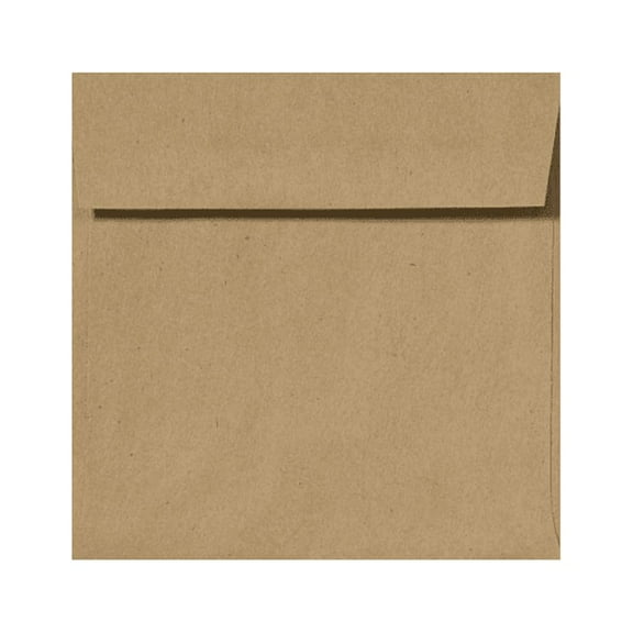 LUXPaper 6 x 6 Square Envelopes, Grocery Bag, 50/Pack
