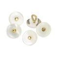 thumbnail image 1 of 5Pcs Natural Shell Button, 10mm Bowl Shell Shank Buttons, Mixed Beige/Gold, 1 of 6