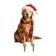 thumbnail image 2 of JSTY323-331 Christmas Garden Insertion Christmas Hat Chicken Festival Decoration Plugin, 2 of 4