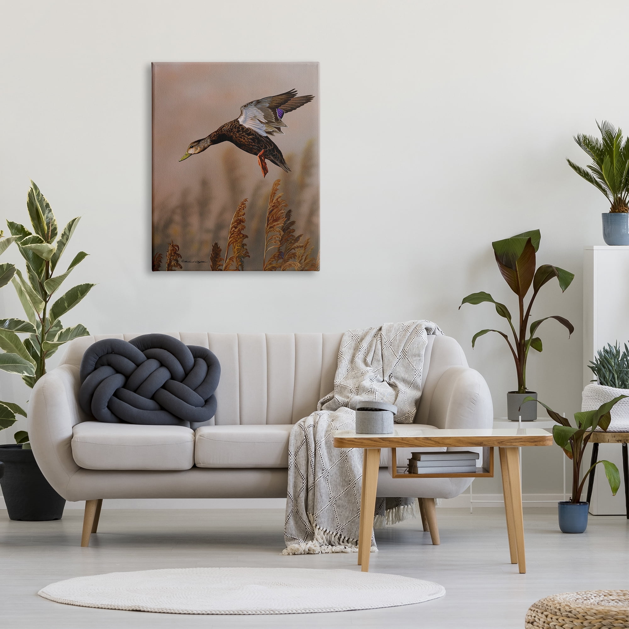 Stupell Industries Duck Flying Photography Animals & Insects Photography Gallery Wrapped Canvas Print Wall Art, 30 x 40