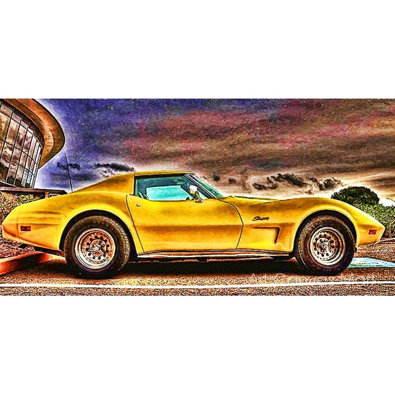 Stingray- CANVAS OR FINE PRINT WALL ART