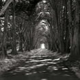 thumbnail image 2 of Johnson, George 12x12 White Modern Wood Framed Museum Art Print Titled - Point Reyes IV, 2 of 4