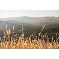 thumbnail image 2 of Nature Magick 14x11 White Modern Wood Framed Museum Art Print Titled - Mountain and Fall Fields, 2 of 4