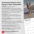 thumbnail image 6 of Australian Cattle Dogs 2025 12 X 24 Inch Monthly Square Wall, 6 of 9