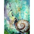 thumbnail image 1 of Carolines Treasures PJC1037CHF The Treasure Of The Surf Shell Flag Canvas House Size, 1 of 4