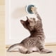 thumbnail image 3 of Juguete para gatos de pared giratoria Catnip Ball | Funda extraíble autoadhesiva | Snack masticable de menta natural | Limpieza dental | Alivio del estrés | 1 Pieza | Barra de golosinas para gatos, 3 of 3