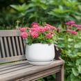 thumbnail image 5 of Ordivic 7 Inch White Ceramic Planter with Drainage Hole and Saucer – Round Flower Pot for Indoor Outdoor Plants, Minimalist Home Decor, 5 of 8