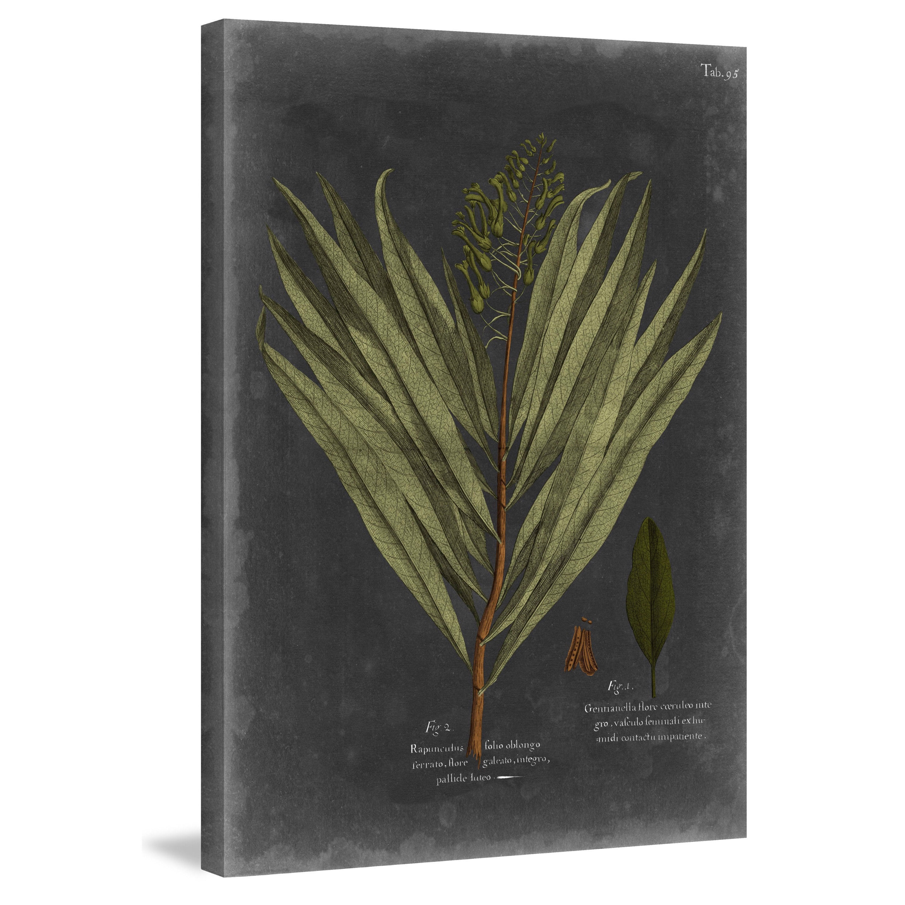 Marmont Hill "Foliage Dramatique II" Painting Print on Wrapped Canvas