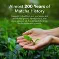 thumbnail image 5 of Ujido Sweet Matcha Latte Powder, 10 Packet, 5 of 5