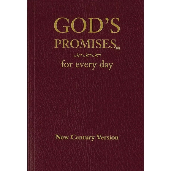 God s Promises For Every Day