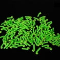 thumbnail image 4 of 30pcs Cold Resistant Cores Fishing Float Adapters Fishing Gadget Float Rest, 4 of 8