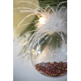 thumbnail image 3 of Set of 6 Christmas Ball Ornaments, Glass Decorative Hanging Ball Christmas Tree Ornaments for Holiday Party Decorations, D3.9", 3 of 9