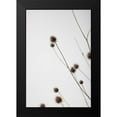 thumbnail image 2 of 1x Studio III 13x18 Black Modern Framed Museum Art Print Titled - Thistle Grey 03, 2 of 5