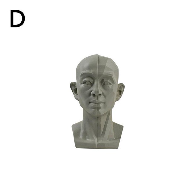 Crazyview Modèle de Tête Planaire pour Artistes Apprendre les Avions du Visage Modèle de Tête Humaine GT X1j