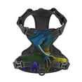 thumbnail image 4 of Lsque Cute Blue Frog Dog Harness, No-Pull Pet Harness with 2 Leash Clips, Adjustable Soft Padded Dog Vest with Easy Control Handle for Large Dogs-Medium, 4 of 9