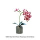 thumbnail image 4 of Matsuzay Bonsái de orquídeas artificiales Phalaenopsis en maceta para el hogar, jardín, de planta falsa realista para decoración de bodas al Decoración Rosa roja Matsuzay HA084197-04, 4 of 6
