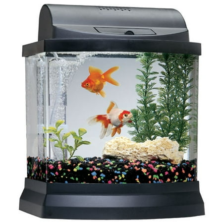 Goldfish Mini Bow 2.5-Gallon Aquarium Kit
