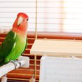 thumbnail image 2 of 2Pcs Rectangular Parrot Platforms Wooden Bird Platforms Interesting Bird Stands Parakeet Platform, 2 of 8
