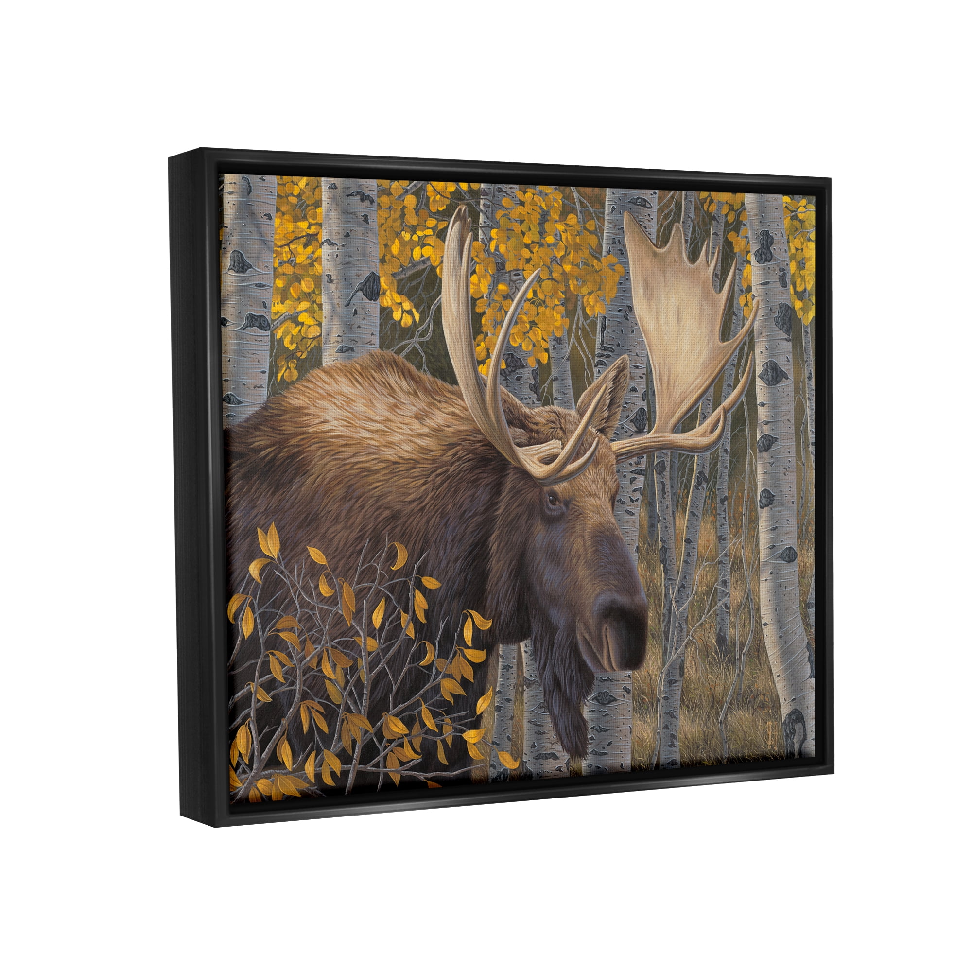 Stupell Industries Moose in Fall Foliage Animals & Insects Painting Black Floater Framed Canvas Art Print Wall Art, 21 x 17