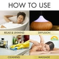 thumbnail image 3 of Sun Essential Oils 16oz - Turmeric Essential Oil - 16 Fluid Ounces, 3 of 7