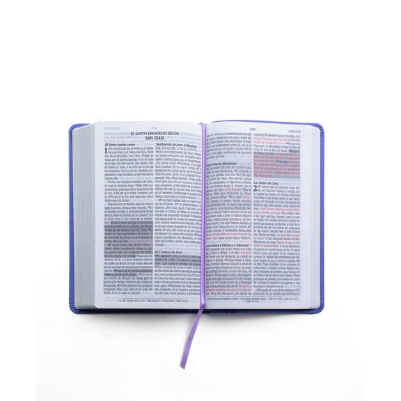 Santa Biblia de Promesas Reina-Valera 1960 / Tamaño Manual / Letra Grande / Piel Especial / Lavanda // Spanish Promise Bible Rvr60 / Handy Size / Large Print / Leathersoft / Lavander (Other)