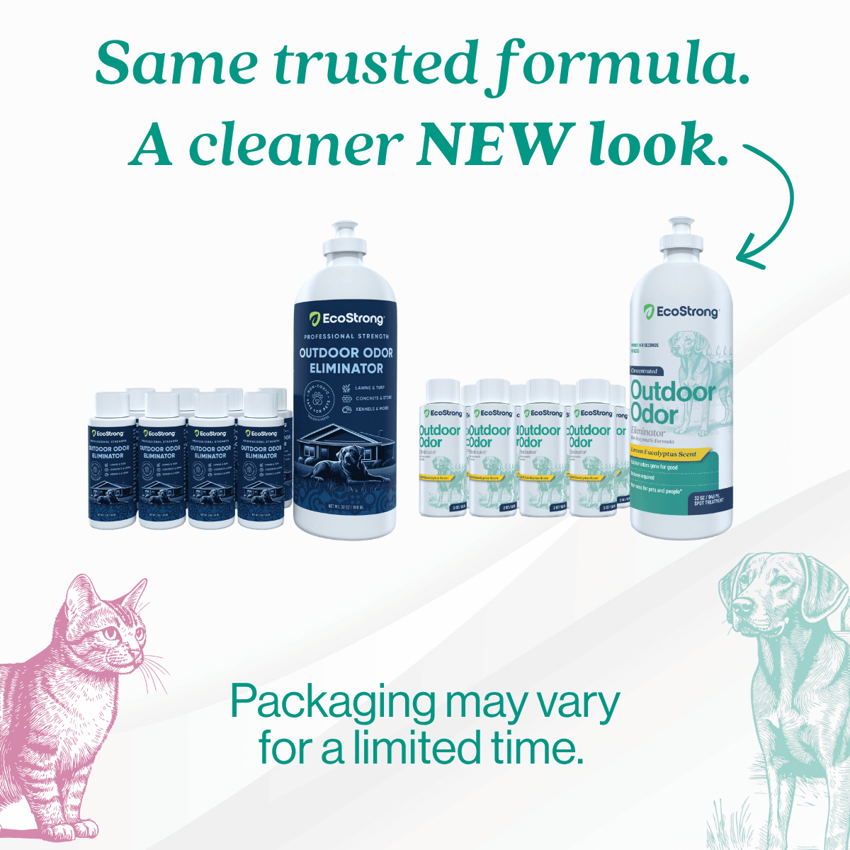 Outdoor Odor Eliminator: EcoStrong Dog and Cat Urine Enzyme Deodorizer (10 x 2oz Shots)