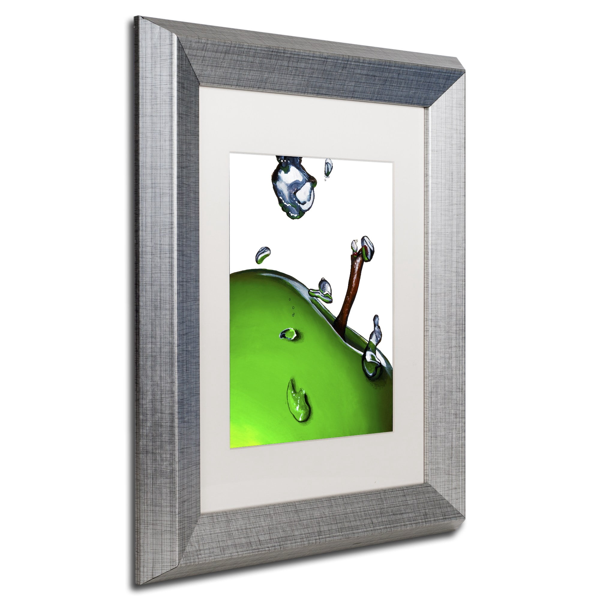 Trademark Fine Art "Granny Splash II" Canvas Art by Roderick Stevens White Matte, Silver Frame