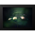 thumbnail image 2 of Suzuki, Takashi 14x11 Black Modern Framed Museum Art Print Titled - Withe Hydrangea, 2 of 5