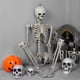 thumbnail image 2 of Esqueleto De Halloween Esqueleto De Simulación Halloween Plástico Calavera Fantasma Esqueleto Decoración Prop Para Decoración De Fiesta En Casa 2 Uds sonducket HA013113-00, 2 of 7