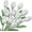 White, variant on Dalrosia 12PCS Crochet Tulip Flower - Handmade Knitted Yarn Flowers, Graduation Flower Woven Flowers, Completed Crochet Flowers