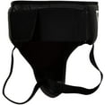 TITLE Boxing Deluxe Groin Protector Plus 2.0 Groin Protector Boxing