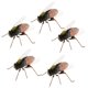 thumbnail image 2 of 5 piezas de juguetes educativos para niños con modelos de animales artificiales de simulación, muy vendidos. abeja, 2 of 8