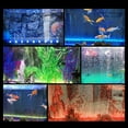 thumbnail image 7 of Syenll LED Aquarium Light, 5.9" LED Submersible Fish Tank Light Aquarium Tools, 1 Watt, 7 of 7
