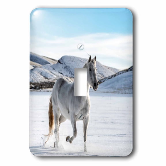 3dRose, White horse on the snow, single toggle switch