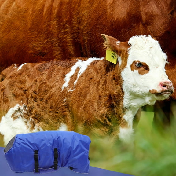 Beaupretty 1Pc Blue Winter Cow Calf Warm Coat Handcrafted Breathable Ranch Vest