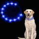 thumbnail image 1 of Light Up Dog Collar, USB Rechargeable Dog Collar, LED Adjustable Length Safety Dog Collar with 3 Flash Modes for Small Medium Large Dogs Cats (Blue), 1 of 5