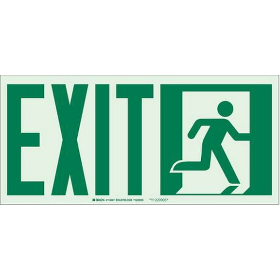 BRADY 81920 Exit Sign, 5x14In, GRN/WHT, Exit, SURF, PK10