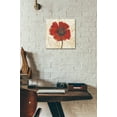 thumbnail image 6 of Epic Art 'Red Poppy Portrait I' by Tim O'Toole, Acrylic Glass Wall Art, 12"x12", 6 of 7