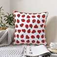 thumbnail image 4 of KLL Ladybug On Blue Stripes Decorative Throw Pillow Covers Velvet Soft for Couch Sofa Bedroom Living Room Outdoor (No pillow core)- 16"x16", 4 of 5
