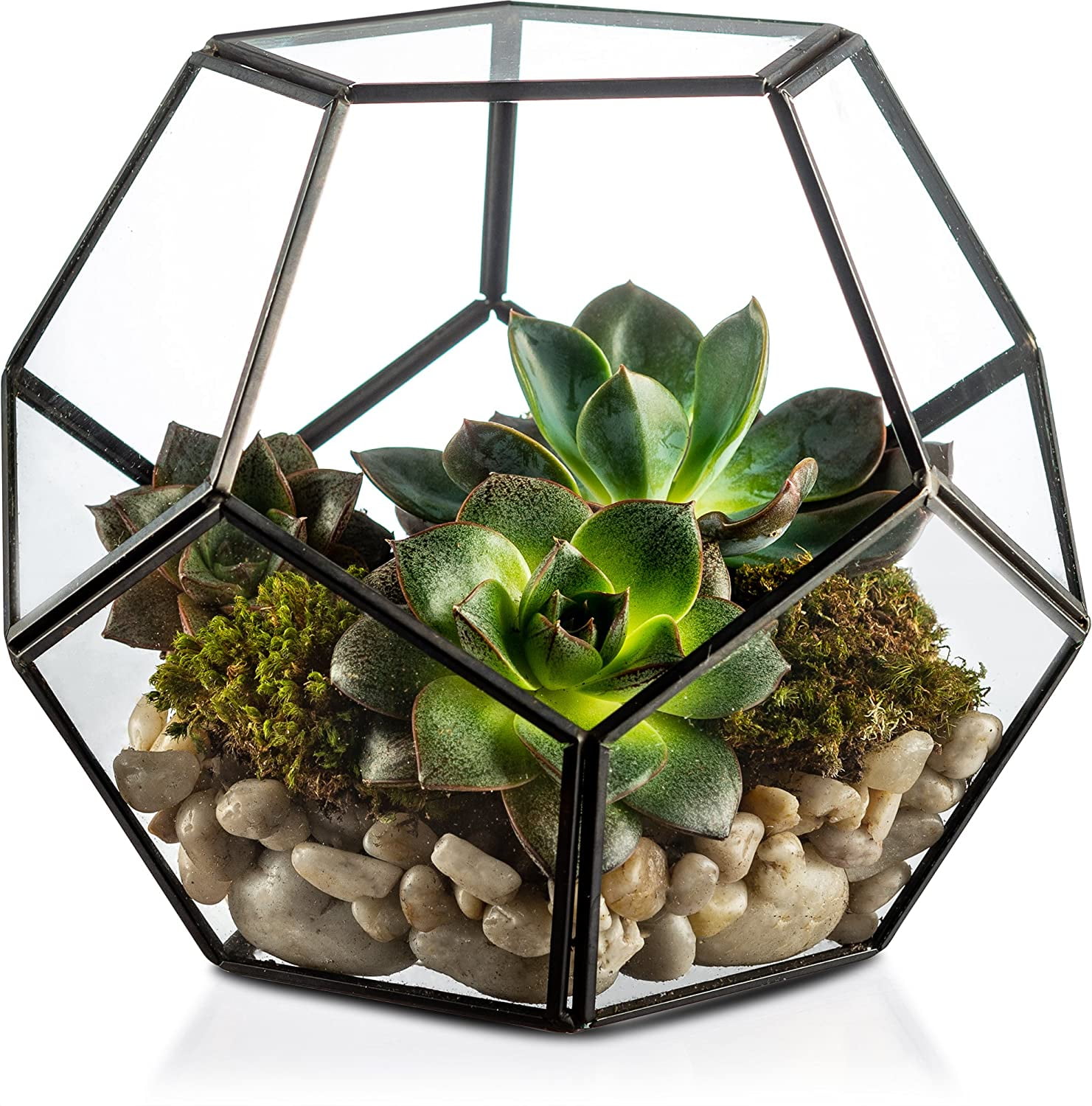 2 Pieces Glass Geometric Terrarium Succulent Air Plants Container Planter 