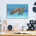 thumbnail image 3 of Epic Art 'Ocean Sea Turtle I' by Tim O'Toole, Acrylic Glass Wall Art, 16"x12", 3 of 3