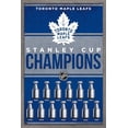 thumbnail image 1 of Maple Leafs de Toronto de la LNH - Champions 23, 1 of 4