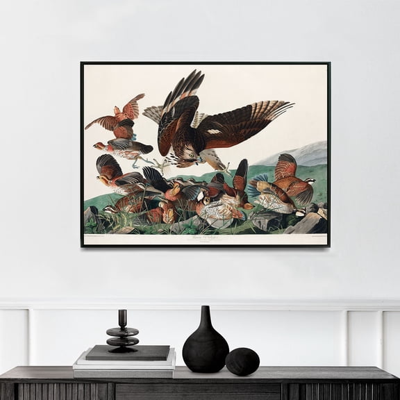 Virginian Partridge - 1827 | John James Audubon | Premium Fine Art Print | 19th Century American | Naturalism | Portrait | Nature Art